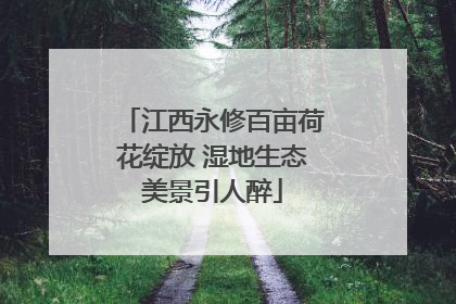 江西永修百亩荷花绽放 湿地生态美景引人醉
